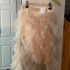 Tulle Skirt